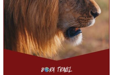 784-kenya-land-of-the-lion-king_pages-to-jpg-0001