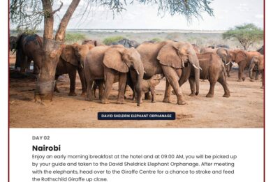 784-kenya-land-of-the-lion-king_pages-to-jpg-0003