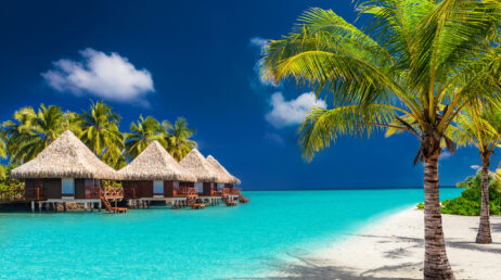 Over water bungalows on a tropical island with palm trees and amazing vibrant beach